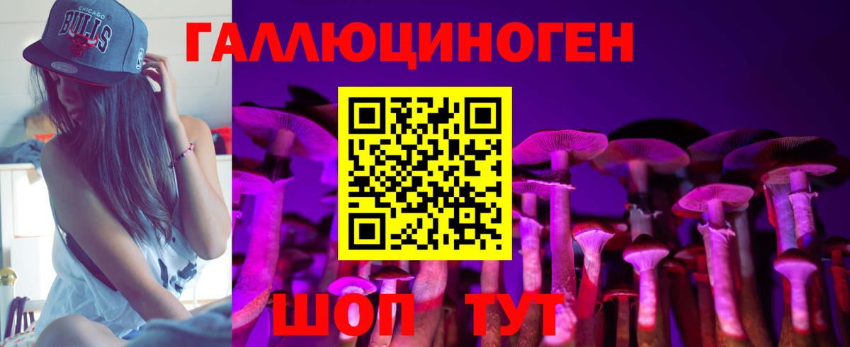 Алексеевка  Псилоцибиновые грибы мухоморы  Галлюциногенные грибы GOLDEN TEACHER  Вход с VPN 